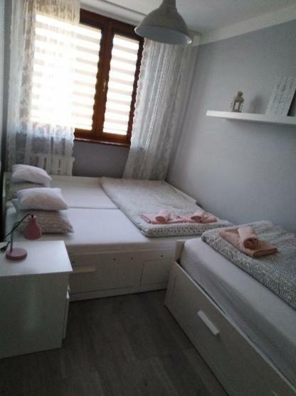 Apartment Oswiecim Klimatyzowany ภายนอก รูปภาพ
