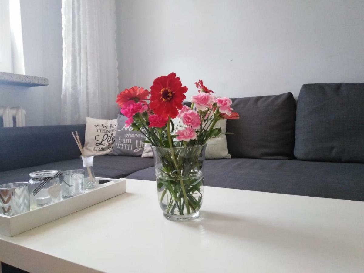 Apartment Oswiecim Klimatyzowany ภายนอก รูปภาพ