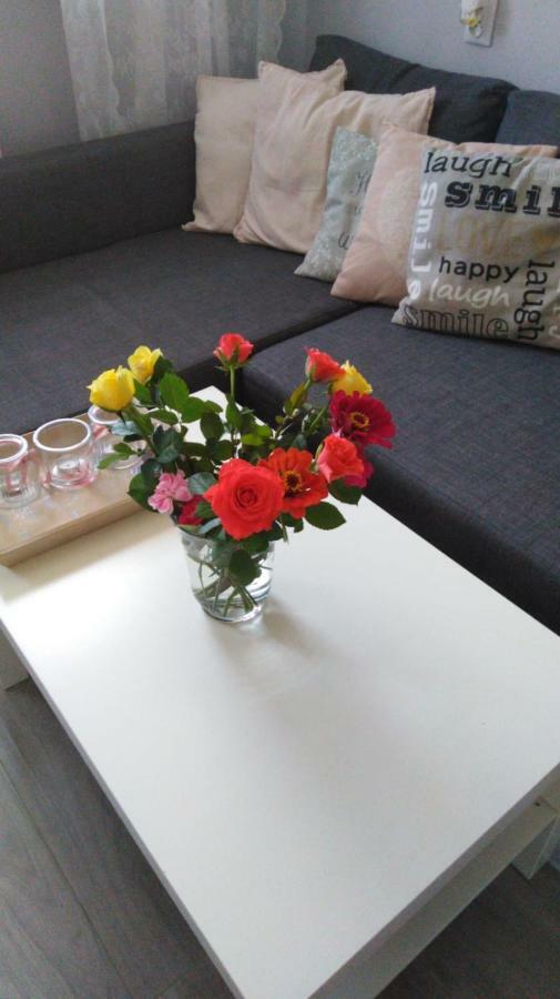 Apartment Oswiecim Klimatyzowany ภายนอก รูปภาพ